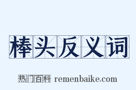 棒头反义词是什么意思的图片